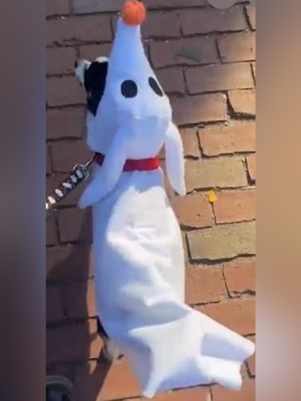 DISNEY ZERO Dog Costume Size- Medium